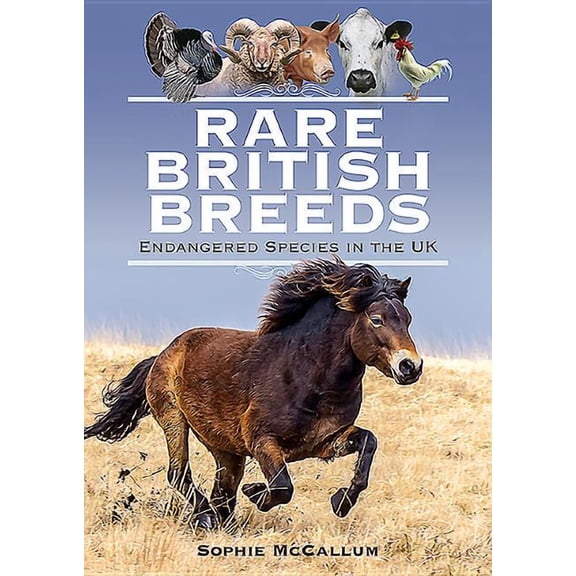 Rare British Breeds Sophie McCallum (Hardcover)