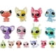 thumbnail image 1 of Ramo de flores de Toy Littlest Pet Shop con 16 mascotas, 1 of 5