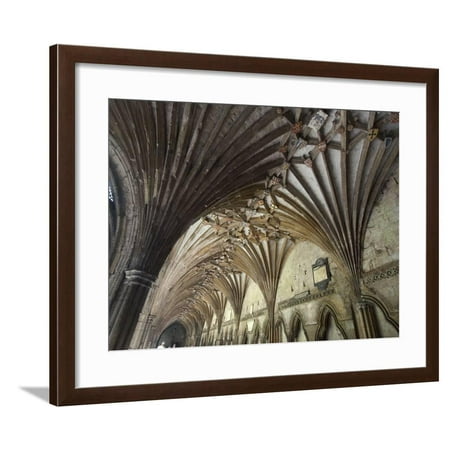 Vaulted Ceiling In The Cloister Canterbury Cathedral Canterbury Kent Framed Print Wall Art By Ethel Davies