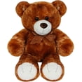 thumbnail image 1 of PELUCHERIA| Oso de Peluche Premium 50 cm, 1 of 5