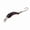 D, variant on QenASHaing 1.4g Plastic Fishing Lure with Micro-Bow Design and Sound Beads, Realistic Swimming Action for High Hook Rate in Shallow Water, Freshwater Bass Trout
