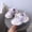 Purple, variant on Liyamei Stylish Girls Sneakers With Comfortable Design Breathable Sports Shoes For Everyday Use Versatile Closure Dad Shoes For Girls Size 6.5