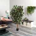 thumbnail image 3 of Nearly Natural 6'Capensia Ficus Tree x 3 with 1008 Lvs, 3 of 3
