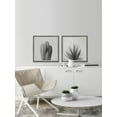 thumbnail image 6 of Marmont Hill Black and White Cacti Diptych, 12" x 24", 6 of 6