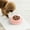 Pink, variant on Pet Supplies Slow Feeding Dog Bowl - Feeder for Puppies and Cats Design to Promote Eating Habits and Bloating for All Dog Breeds