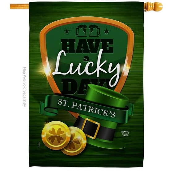 Ornament Collection H192157-BO Have a Lucky Day Springtime St Patrick Double-Sided Garden Decorative House Flag, Multi Color