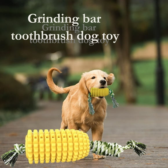 Binmer Jouet pour Chien Bâton de Meulage Brosse à Dents Jouet pour Chien avec Corde Produits pour Animaux