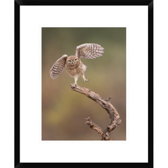 Global Gallery Amnon Eichelberg 'I'm Just A Gigalo' Framed Wall Art