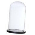 thumbnail image 3 of 2 × Vasos Transparentes a Prueba de Polvo Cloches Contenedores de Plantas Y, 3 of 9
