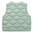 thumbnail image 4 of NAISIBABY Toddler Vest jacket (1-8T), Graphic Buttons Sleeveless Fall Winter Thermal Boys Girls Puffer Coat Green, 4 of 4