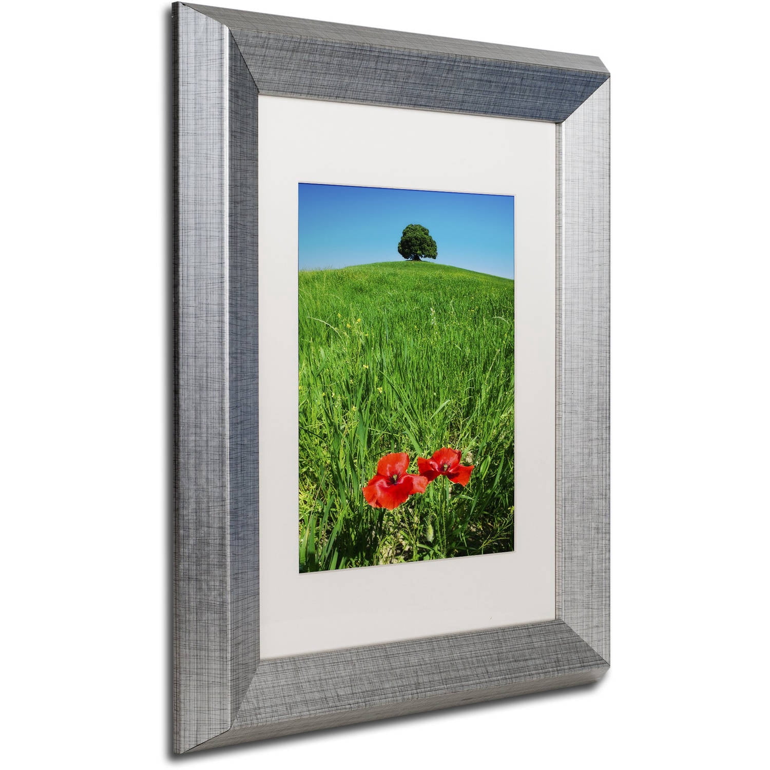 Trademark Fine Art 'Red Poppies and Oak' Canvas Art by Michael Blanchette Photography, White Matte, Silver Frame