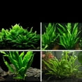 WMENJIAZIHAN Artificial plants Clearance Tank Living Water Water And