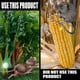 thumbnail image 3 of Paquete de pastillas repelentes para ratas Rodenticida Horticultura Hogar Motor de automóvil Repelente de ratas y ardillas Roedores, 3 of 4