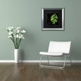 thumbnail image 3 of Trademark Fine Art "Black Gold Herbs IV" Canvas Art by Color Bakery Black Matte, Silver Frame, 3 of 4