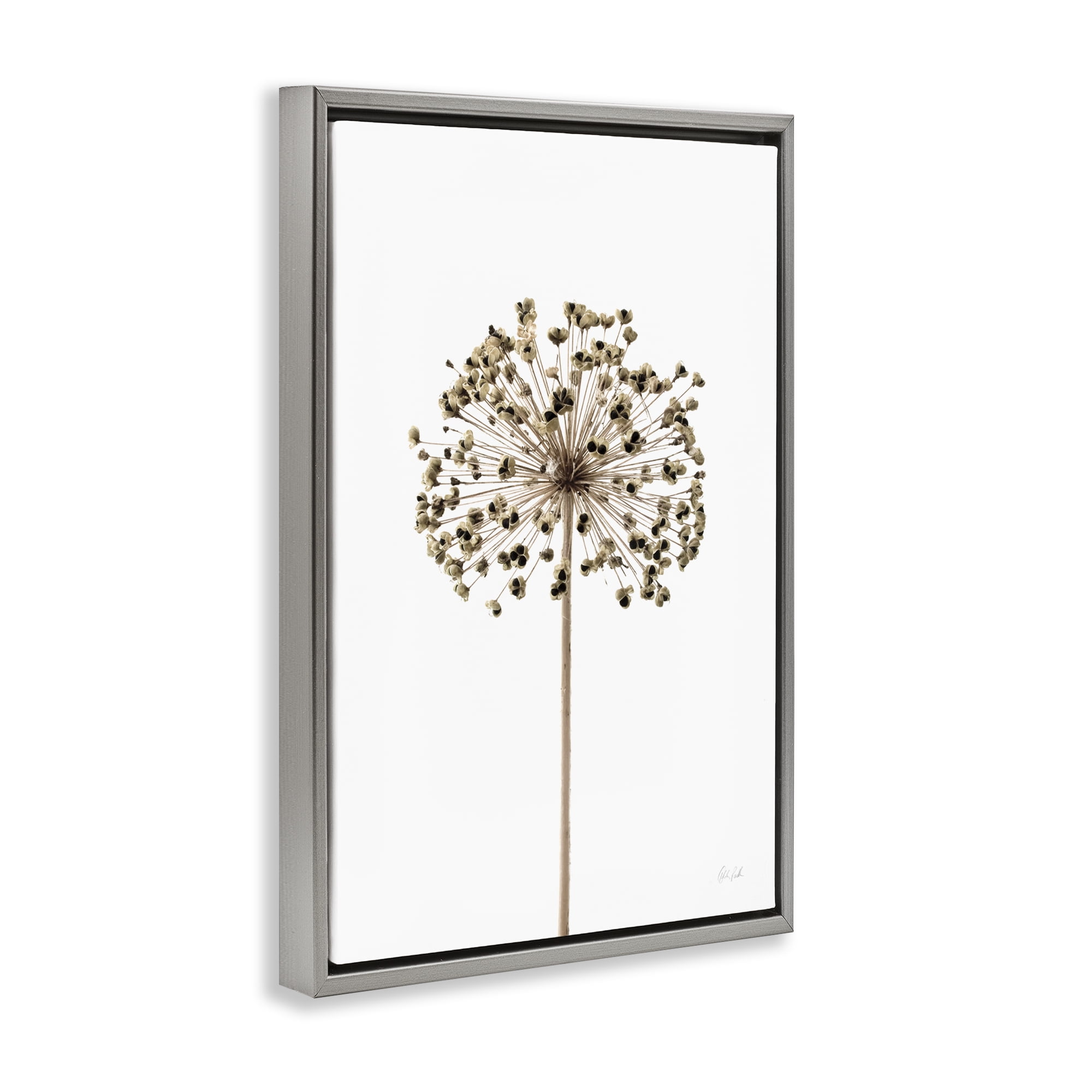 Stupell Industries Minimal Allium Bud Plants & Flowers Painting Gray Floater Framed Canvas Art Print Wall Art, 21 x 31