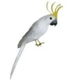 thumbnail image 1 of Pájaros de plumas artificiales Decoraciones para árboles Adornos Sunnimix Pájaro artificial, 1 of 5