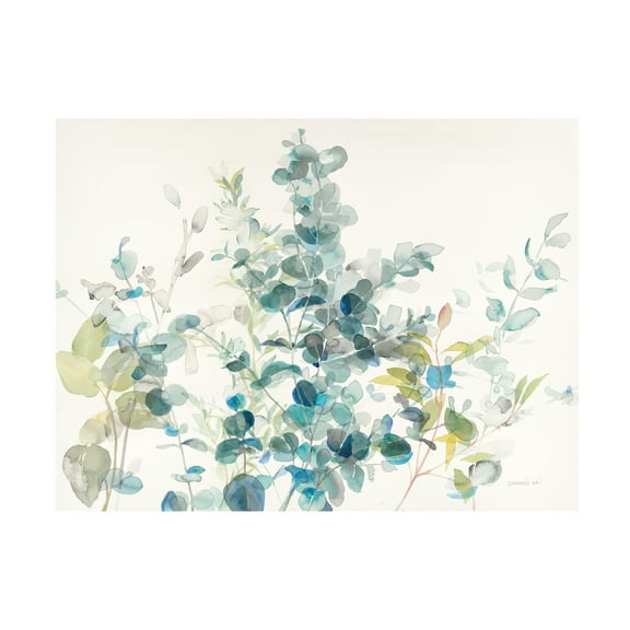 Trademark Fine Art 'Eucalyptus I' Canvas Art by Danhui Nai