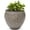 Dusted Pearl, variant on Headwind Glazed IronStone Lanai Collection – 6” Dusted Pearl Decorative Lightweight Flower Pot w/ Leaf Design & Drainage – Houseplants, Succulents for Garden Indoor & Outdoor Planter by Robert Allen