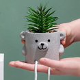 thumbnail image 4 of Decoración artificial de plantas pseudosuculentas en maceta compatible con estantería B, 4 of 5