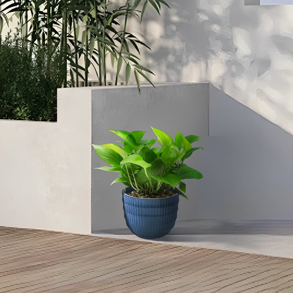 MAYEERTY 4 Pack Ceramic Plant Pots, Planter for Indoor Outdoor Patio, Garden, Blue
