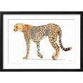 thumbnail image 2 of Art.com Wild and Free VII Bold Art Print by James Wiens, Black Frame Wall Art, 23" x 17", 2 of 5