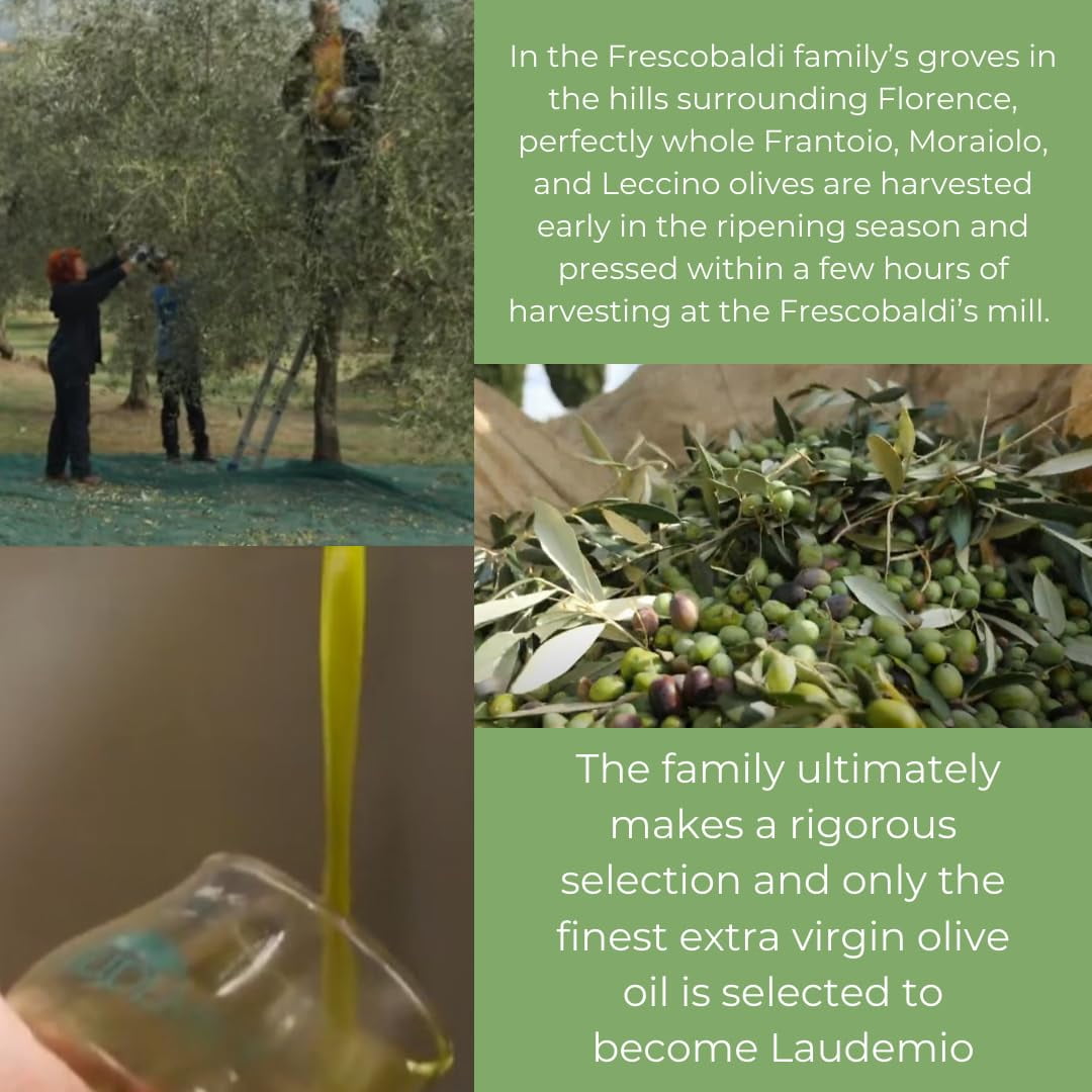 Free Shipping! Frescobaldi Olive Oil, 16.9 Fl Oz, Tuscan aroma