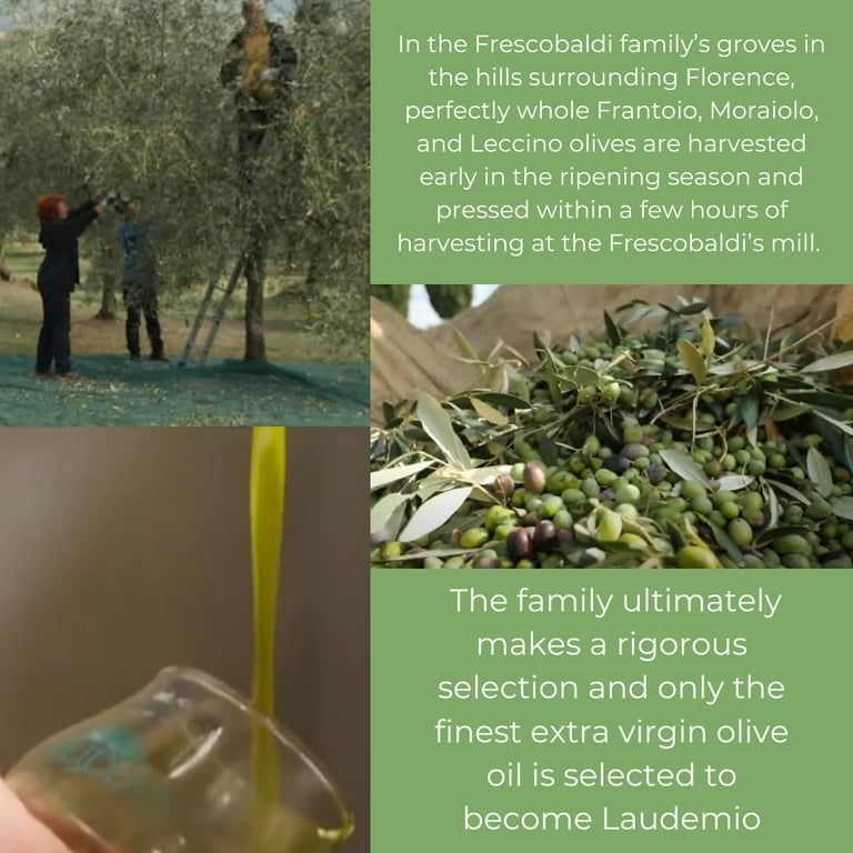 Free Shipping! Frescobaldi Olive Oil, 16.9 Fl Oz, Tuscan aroma