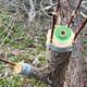 thumbnail image 2 of 4 rollos de cinta de injerto práctica, cinta de injerto de jardín estirable, cintas duraderas para reparación de plantas, 2 of 5