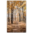 thumbnail image 1 of Picture-Tiles.com: Autumn Ceramic Tile Wall Mural WAL500015-35S. 12.75"W x 21.25"H using (15) 4.25" x 4.25" Ceramic Tiles-Satin Finish, 1 of 3