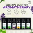 thumbnail image 4 of Essential Oils Set for Diffusers - Home Aromatherapy Oils Gift Set, 100% Natural Diffusers Oils Scents for Home, 6x10ML (Lavender, Eucalyptus, Lemon Grass, Sweet Orange, Peppermint, Tea Tree), 4 of 5