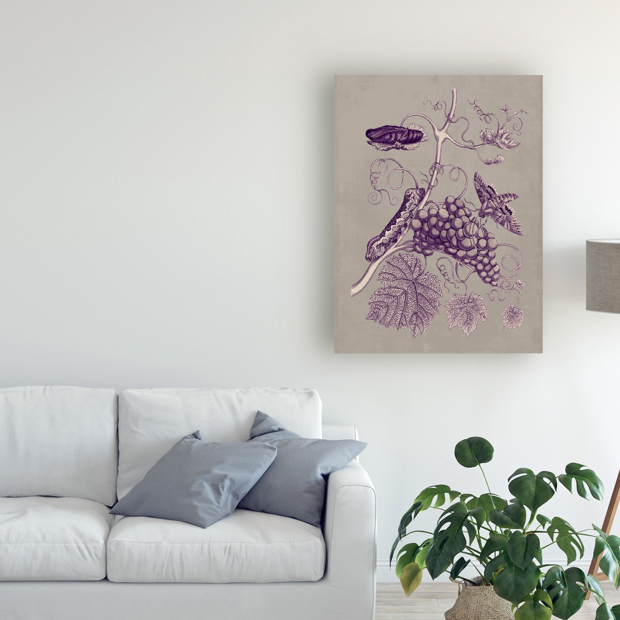 Trademark Fine Art 'Nature Study in Plum & Taupe III' Canvas Art by Maria S. Merian