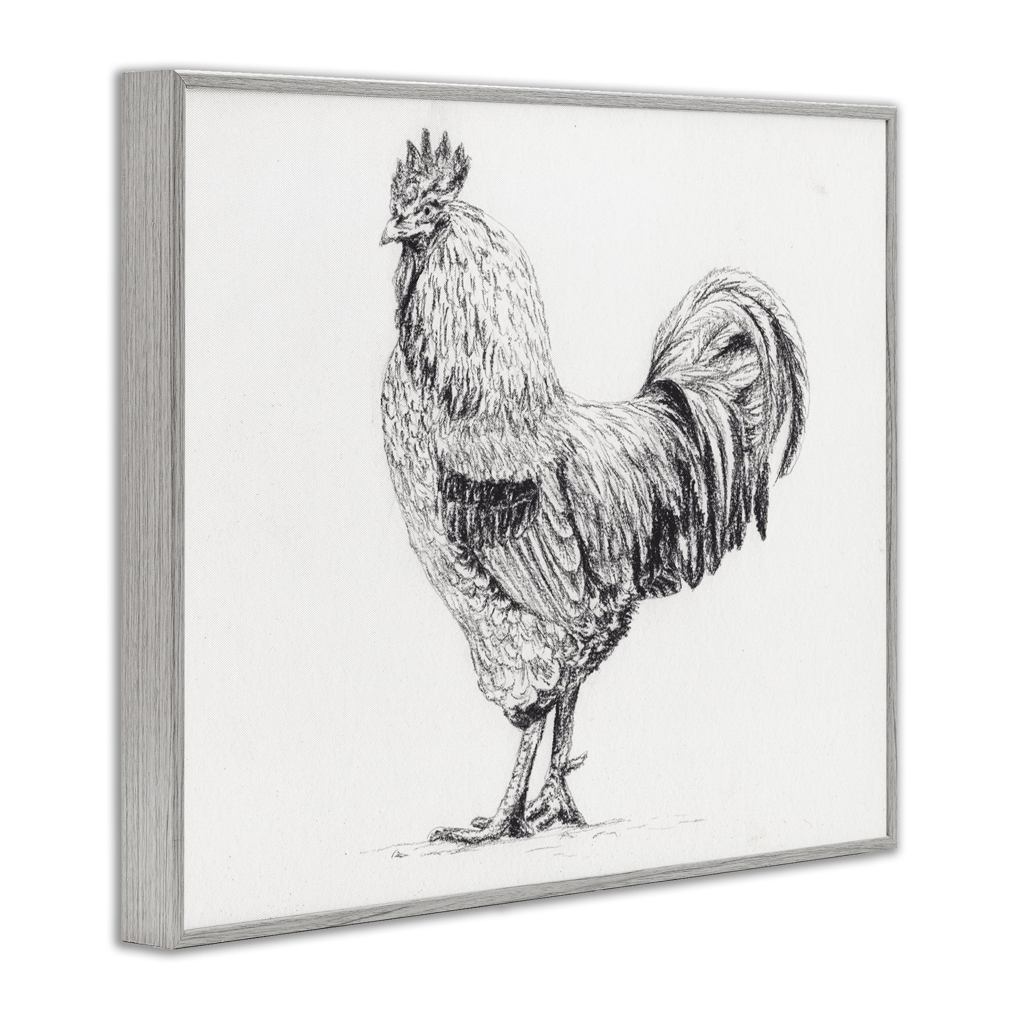 Stupell Industries Rooster in Charcoal Gray Framed Giclee Art, design by Leah Noel Art