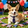 thumbnail image 6 of Yhmxh 4th of July Pet Necktie, Adjustable American Flag Collar Bows Patriotic Red White Blue Star Stripes Dog Cat Bow Tie Collar, Cute Independence Day Pet Costume Accessory for Small Medium Pets, 6 of 7