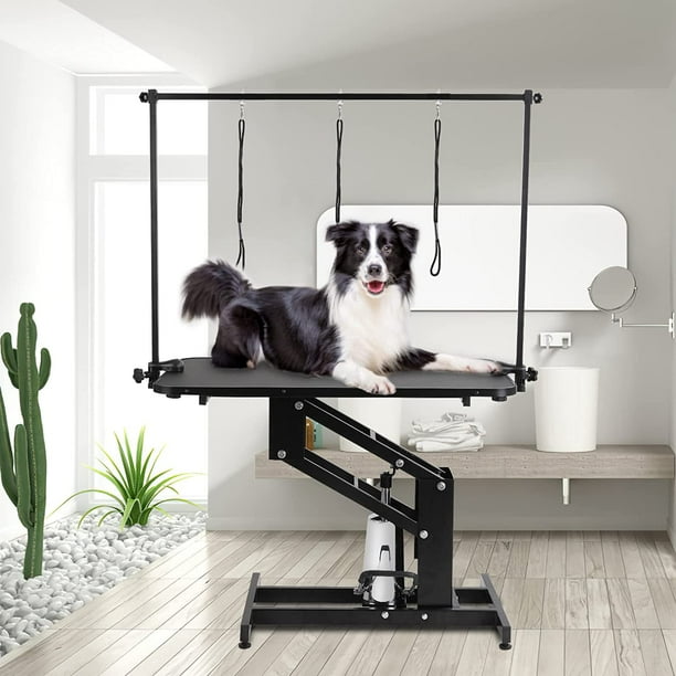 LAZY BUDDY 43'' Hydraulic Dog Grooming Table, Heavy Duty Pet Trimming Table with Arm, Nooses