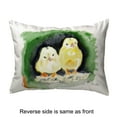 thumbnail image 4 of Betsy Drake ZP378 Dicks White Ibis Extra Large Zippered Pillow, 4 of 4
