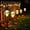 White, variant on Halloween Solar Ground Stake Lights, 5 Pack Pumpkin Skull Pathway String Lights, Waterproof Outdoor Garden Walkway Decor