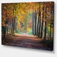 thumbnail image 2 of Wide Pathway in Yellow Fall Forest, 2 of 3