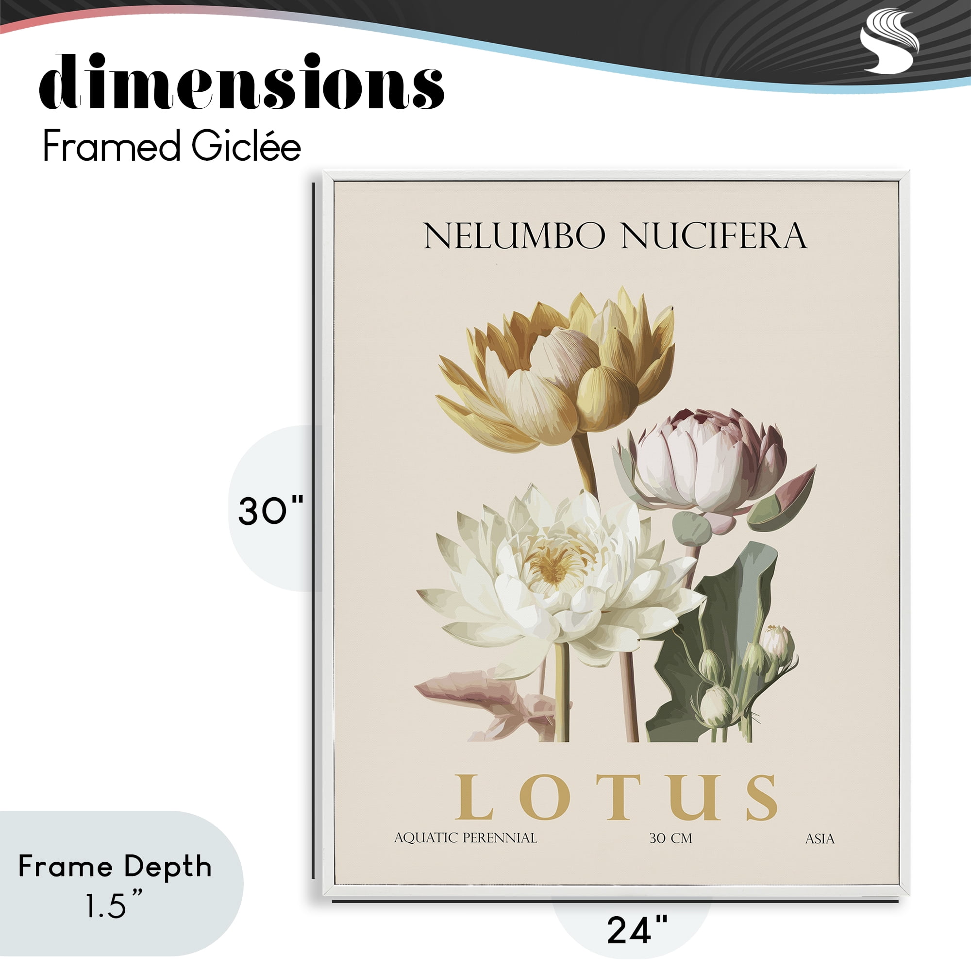 Stupell Industries Natural Lotus Bundle White Framed Giclee Art, design by Christopher Giampietro