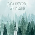 thumbnail image 2 of Popp, Grace 26x26 White Modern Wood Framed Museum Art Print Titled - Little Grower II, 2 of 4