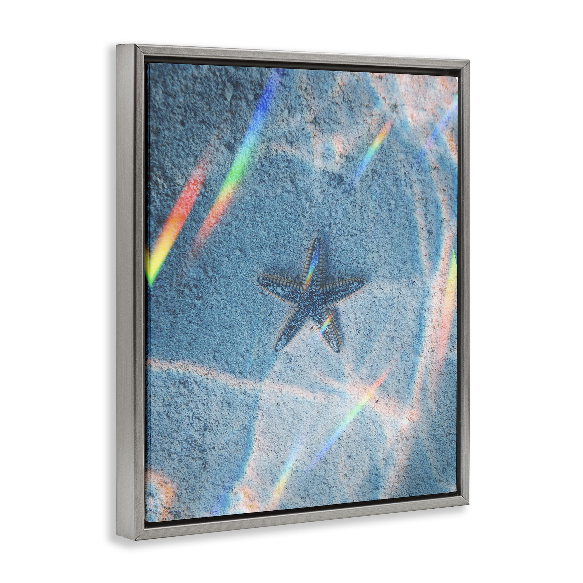Stupell Industries Prismatic Starfish on Sea Floor Animals Photography Gray Floater Framed Canvas Art Print Wall Art, 25 x 31