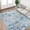 Blue Yellow, variant on Nanan, 4x6 Area Rug, Washable Abstract Floor Rug for High Traffic Areas, Non-Slip Stain Resistant Low-Pile Indoor Mat for Living Room Bedroom Kitchen, Blue Yellow