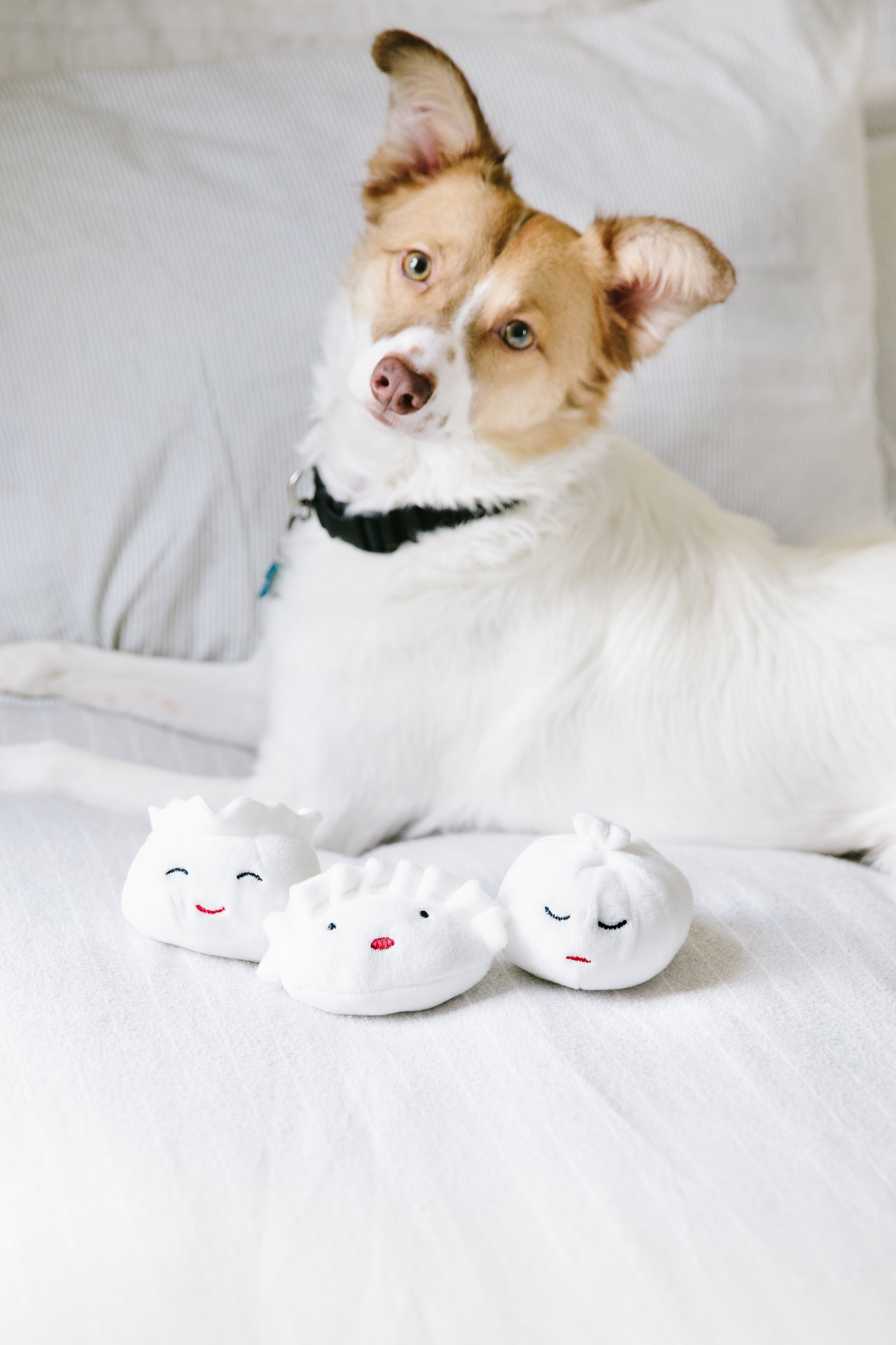 Pearhead Dim Sum Plush Dog Toys White Walmart