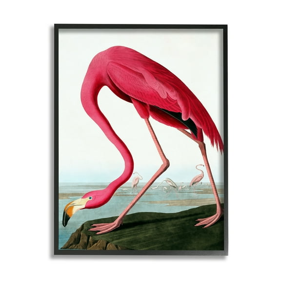 Stupell Industries Flamingo Stepping Near Pond Animals & Insects Painting Black Framed Art Print Wall Art, 11 x 14