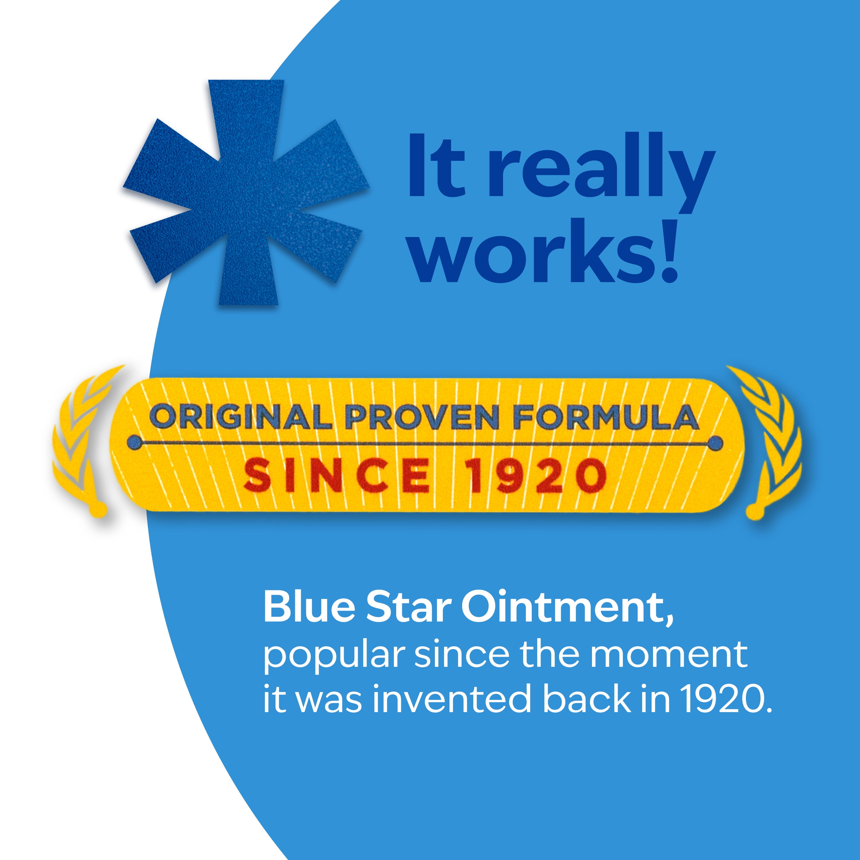 Blue Star Anti-Itch Medicated Ointment, Hydrocortisone and Steroid-Free, 2 oz
