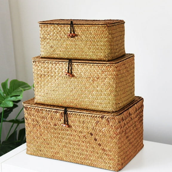 9x5x3 Inch Wicker Storage Basket Woven Rattan Organizer Bin with Lid, Small Rectangular Desktop Box Home Refresh Spring Cleaning Declutter