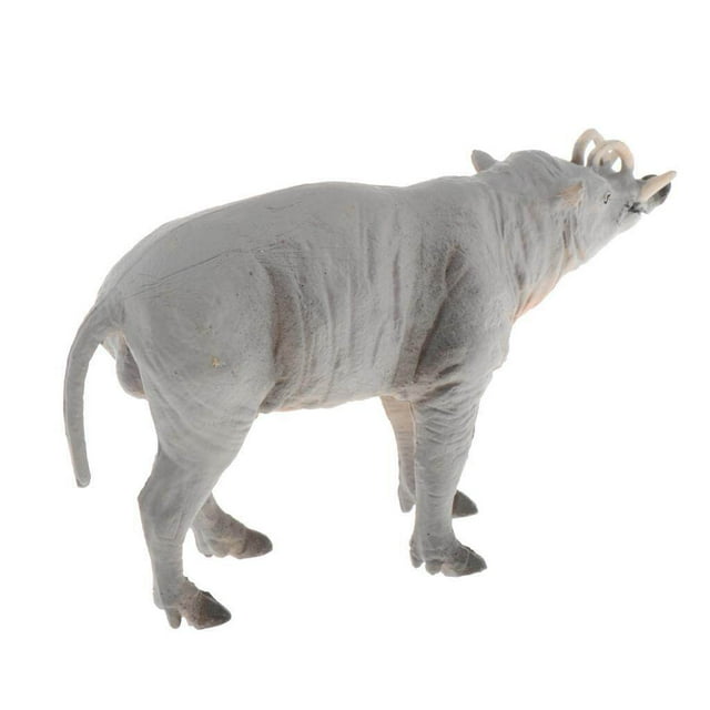 Modèle d'Animaux de Simulation, Jouet Éducatif pour Enfants, Décor Nature Scientifique pour Enfants, Babirusa