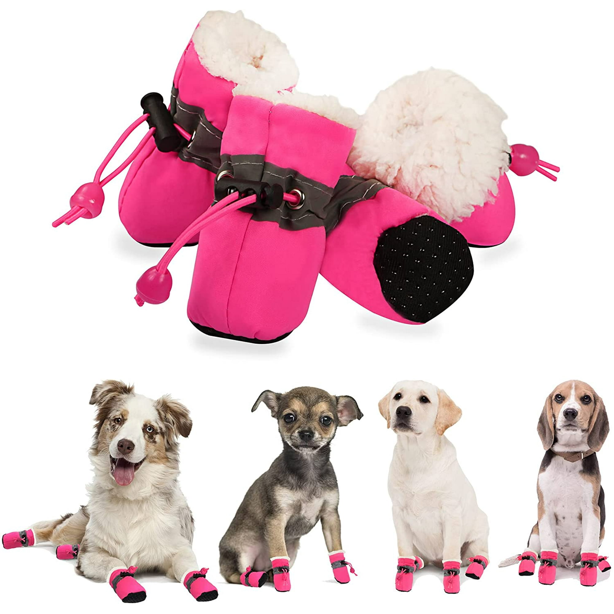 Should Dogs Wear Shoes