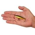thumbnail image 4 of Berkley Ripfish, 7, Black Gold, 4 of 5