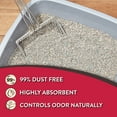 thumbnail image 7 of Special Kitty Nonclumping Cat Litter, Unscented 50 lbs bag, 7 of 7