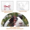thumbnail image 4 of Sikiie Daisy Guinea Pig 30-48 inches {designName} Print Christmas Tree Skirt Snowman Xmas Tree Skirt with Edge Christmas Decorations for Holiday Party36", 4 of 7